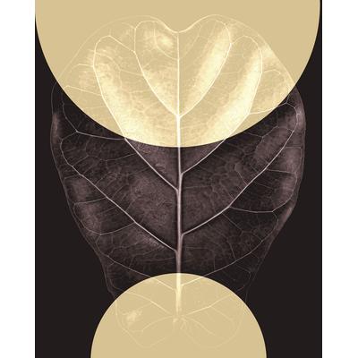 Bild KOMAR "Shadow Theatre", braun (farbe bild(er): braun), B:40cm H:50cm, Papier, Holz, Bilder, Wandbild zur Dekoration - ohne Rahmen Image