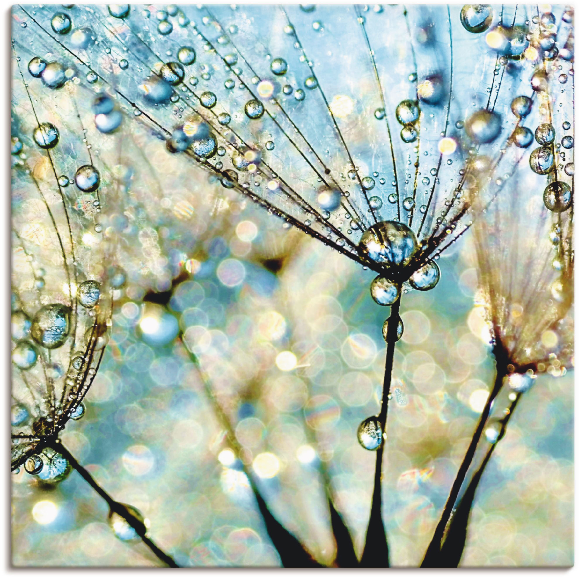 Wandbild ARTLAND "Pusteblume Blaue Diamanten", blau (farbe bild(er): blau), B:70cm H:70cm, Bilder, als Alubild, Outdoorbild, Leinwandbild, Poster, Wandaufkleber Image