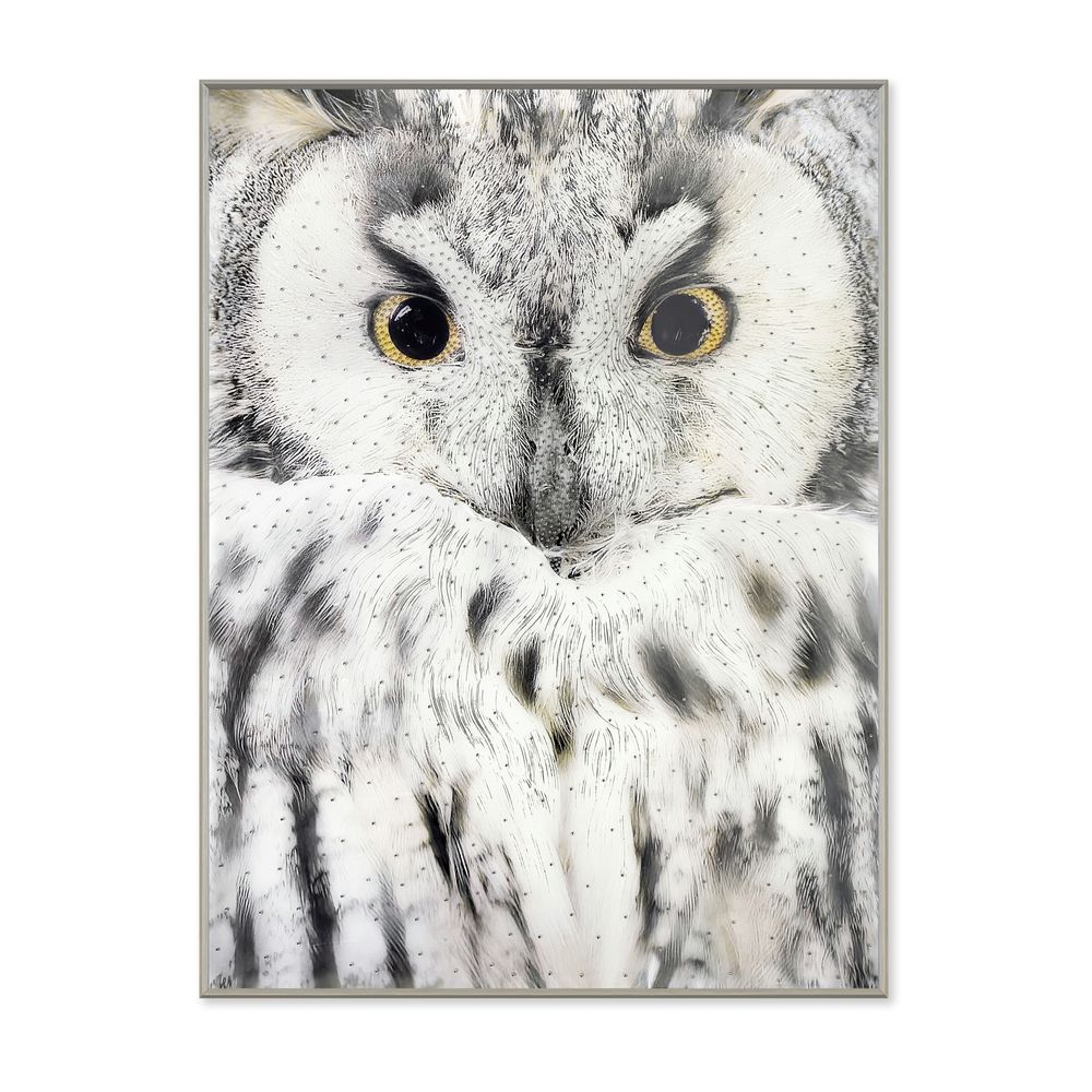 La Casa »Owl« Glasbild mit Strassapplikation 90x120 cm Image