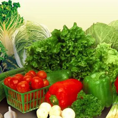 Fruit Salad Manual Rotary Centrifugal Dehydrator Vegetable Lettuce Potato Drying Machinery