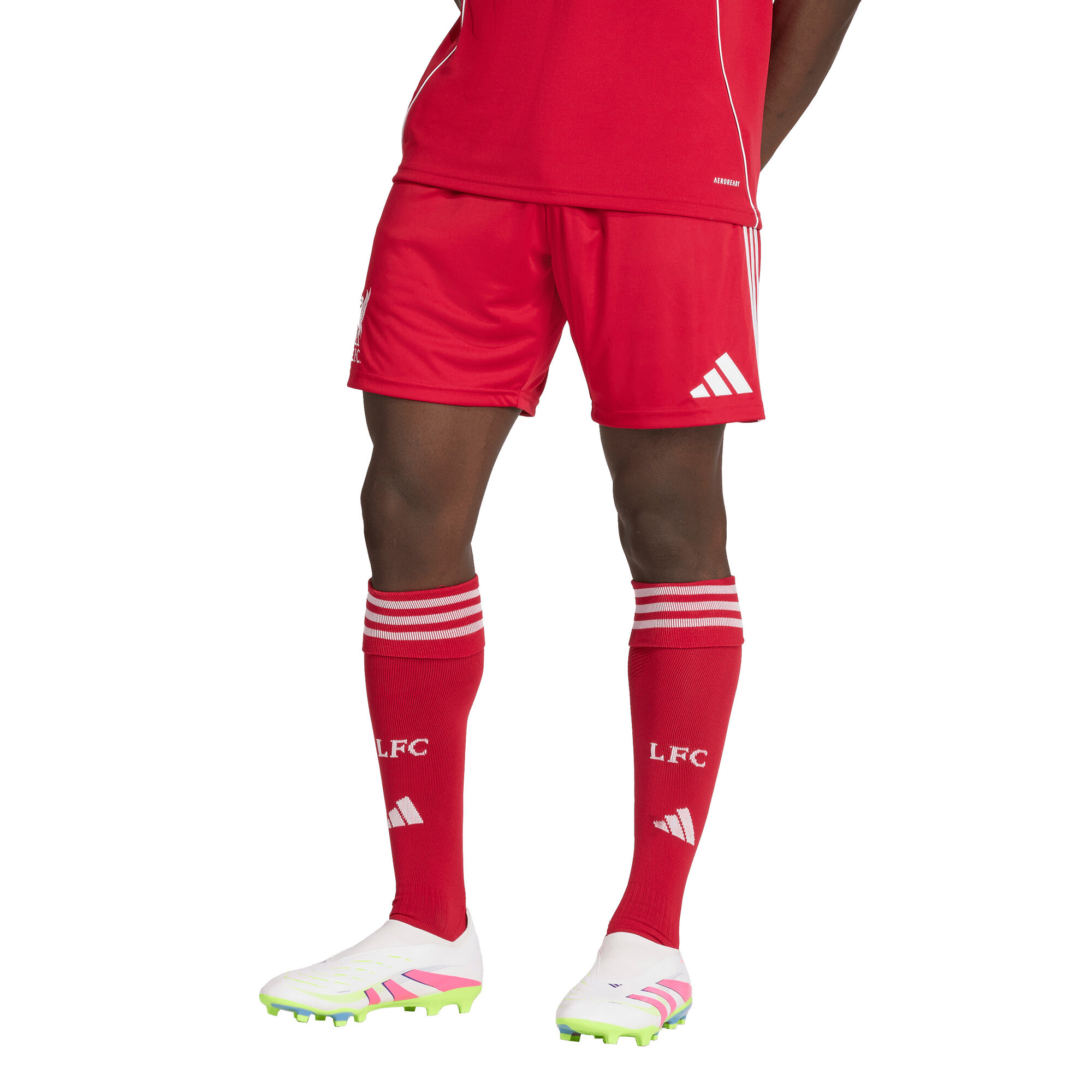 Liverpool adidas Home Shorts 2025-26 Image