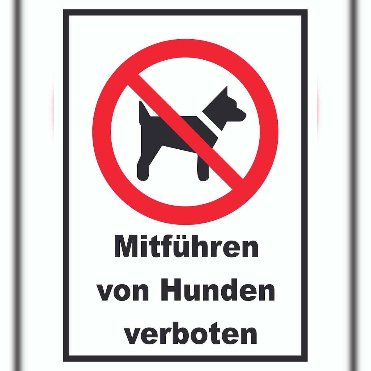 HB-Druck Mitführen von Hunden verboten Schild A3 Rückseite selbstklebend Image