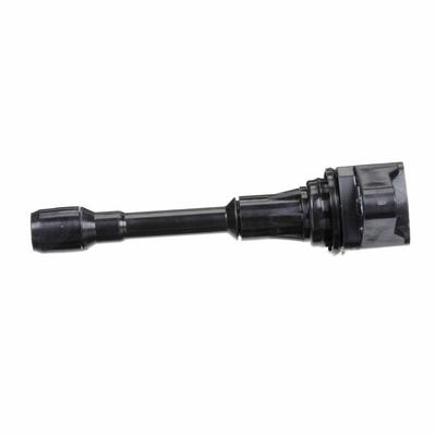 DELPHI Zündspule RENAULT,NISSAN,INFINITI GN10241-12B1 IGC0002,22448EN000,22448JA00A Einzelzündspule 224481KT1A,22448EN200,224481KT0A,22448ED000 Image