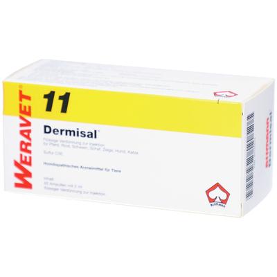 Dermisal 11 Ampullen vet. 4x10x2 ml Image