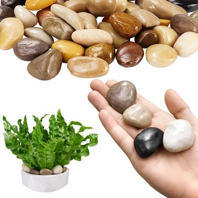 Rainflower River Rocks 15lb Bag Smooth Polished Decorative Stones for Landscaping Aquarium Garden and Plant Care