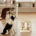 Alimentatore automatico per gatti e distributore d'acqua Alimentatore d'acqua Set di erogatori di cibo per animali domestici Alimentatore e distributore di acqua in set per
