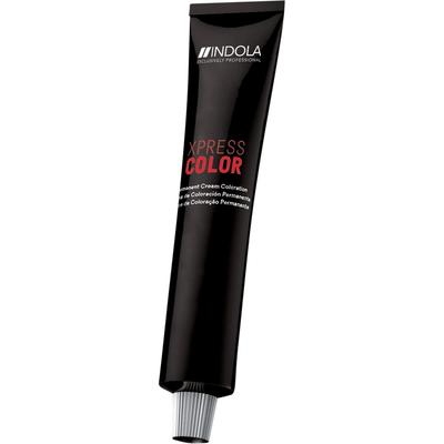 Indola Xpress Color 8.1 Hellblond Asch 60 ml Damen Image