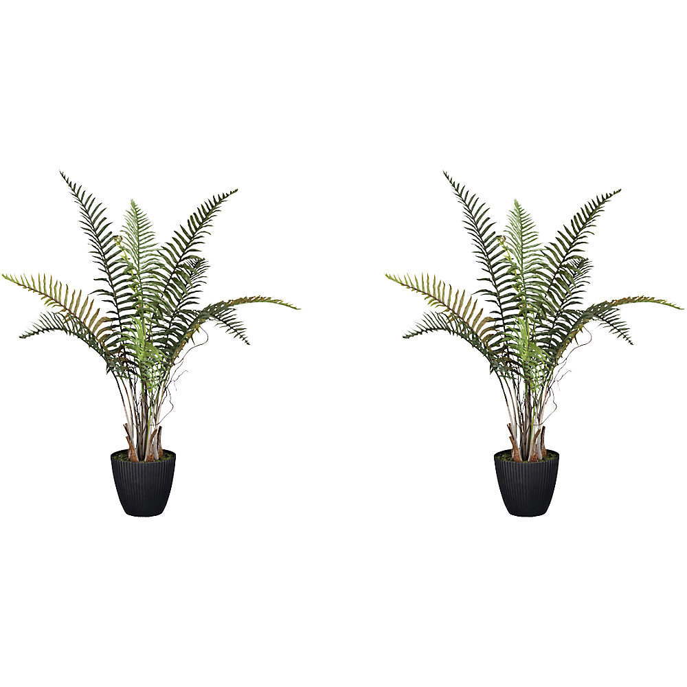 Plante artificielle fougère Blechnum - kaiserkraft