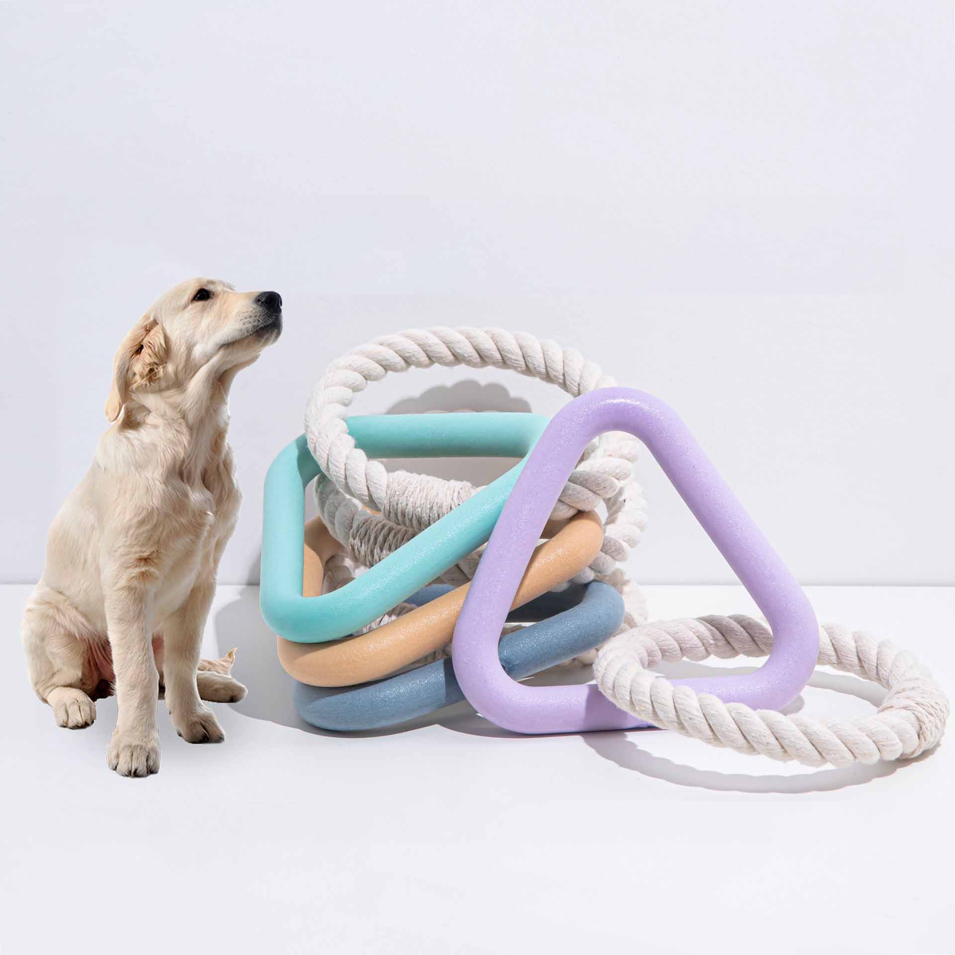TPR Rubber Pet Toys: Triangle Pull Ring & Cotton Rope Chew Resistant Dog Toy Interactive Tug Of War Toy green S