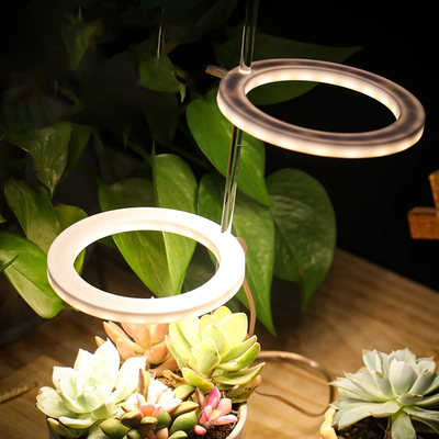 LED Ring Grow Light For Indoor Plants | Angel Glow Ring Light For Indoor Plants | 3 Head LED Plant Grow Lights 2 Light Heads