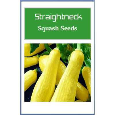 Straightneck Squash Seeds, Non GMO Heirloom Fresh Garden Seeds For Home Gardening 80 Seeds
