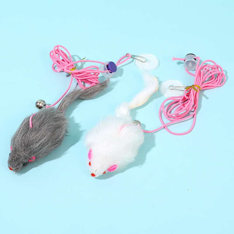 Interactive Cat Toy: Swing Disc, Elastic Rope, Door Teaser, & More | Pet Kitten Accessories Color: Mouse Random