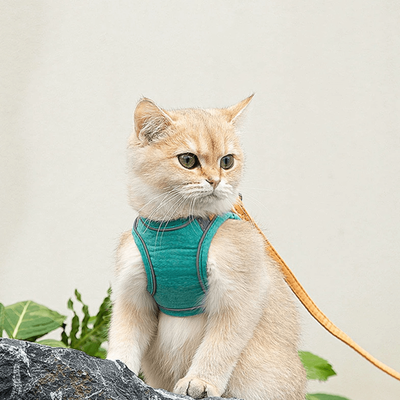 Cat Harness And Leash For Walking | Adjustable Kitten Escape Proof Harnesses | Luminous Cat Harness & Leash Set Green 3XL