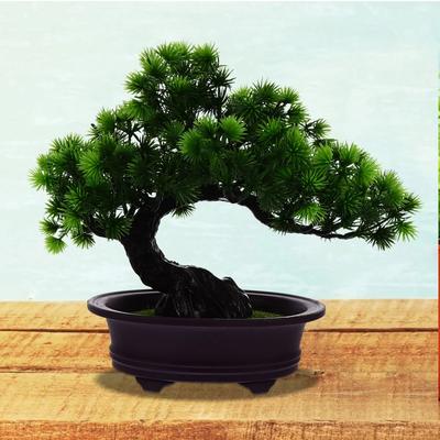 Mini Bonsai Green Home Decor Artificial Pine Ornaments For Indoor & Outdoor 25X16CM Green