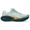 Asics - Novablast 5 TR - Runningschuhe 43,5 | EU 43,5 grau