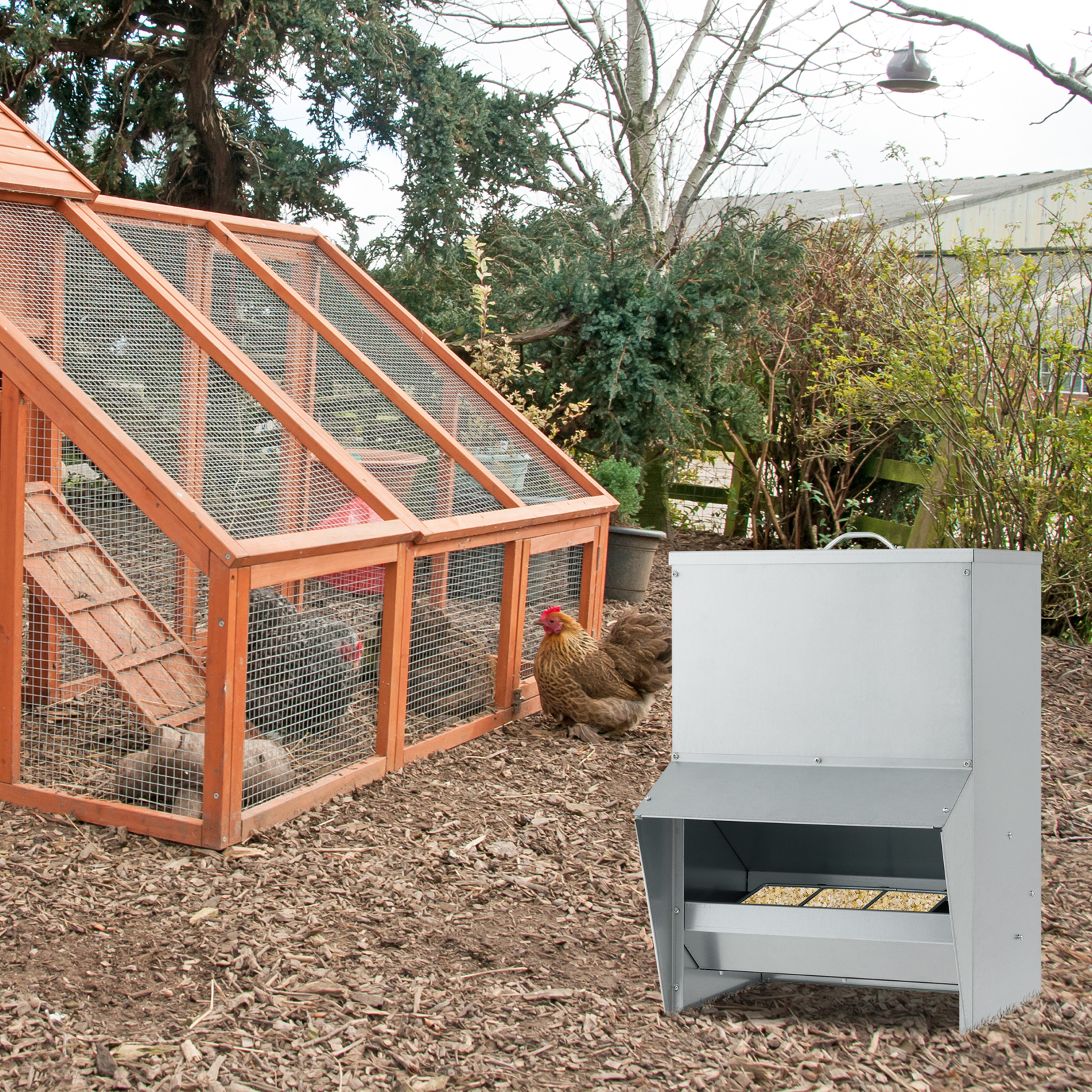 Premium Wall Mount Galvanized Chicken Feeder 50 Pounds Capacity With Semi Enclosed Trough & Weatherproof Canopy Premium Wall Mount Galvanized Chicken Feeder 50 Pounds Capacity With Semi Enclosed Trough & Weatherproof Canopy