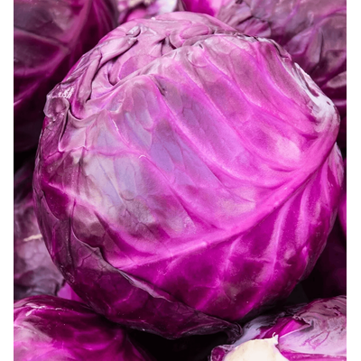 Heirloom Red Acre Cabbage Seeds, Non GMO Fresh Garden Seeds For Your Vegetable Garden 400 Seeds