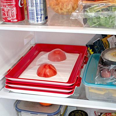 Food Preservation Tray (2 Pack) Reusable, Airtight & Stackable | Perfect Gift For Home Food Preservation Tray (2 Pack) Reusable, Airtight & Stackable | Perfect Gift For Home
