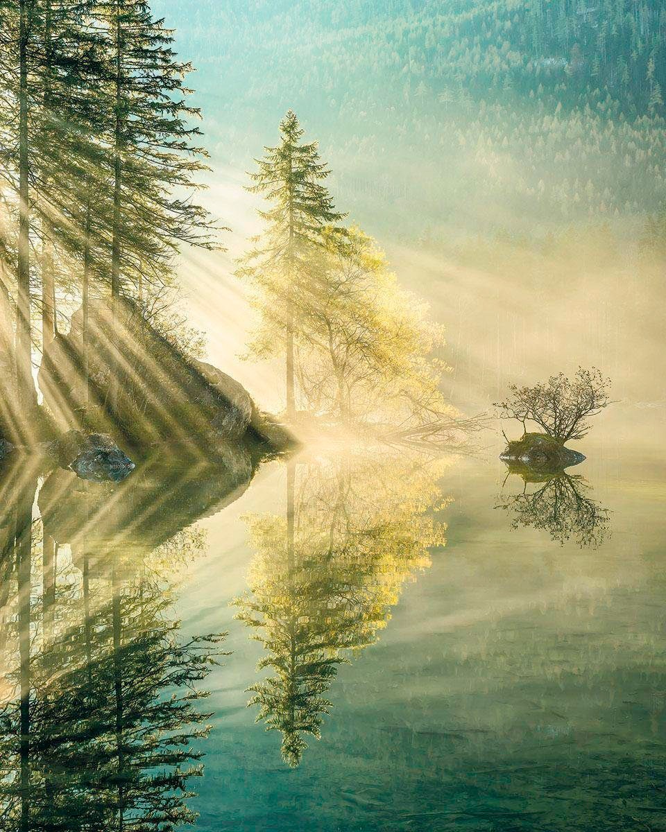 Vliestapete KOMAR "Digitaldruck Vlies - Indulgence of Beauty - Größe 200 x 250 cm", grün, B:200m L:250m, Vlies, Tapeten, Wohnzimmer, Schlafzimmer