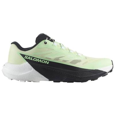 Salomon - Women's Pulsar - Trailrunningschuhe 38 2/3 | EU 39 grün Image