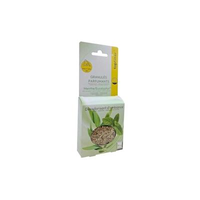 Top Filter 4er-Pack TopFilter Staubsaugerduftbeutel Minze/Eukalyptus Image