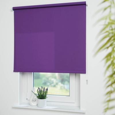 Seitenzugrollo LIEDECO "Uni" Gr. 14, lila (brombeere), B:152cm H:180cm, Polyester, Rollos, Montage ohne Bohren zum Klemmen mit separatem Klemmträger möglich Image