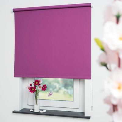 Seitenzugrollo LIEDECO "Uni" Gr. 10, lila (brombeere), B:202cm H:180cm, Polyester, Rollos Image