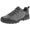 Wanderschuh JACK WOLFSKIN "MTN GOAT LOW M", Gr. 46, grau, dunkelgrau, Leder, sportlich, Schuhe