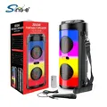 ZQS-4248 Altoparlante Bluetooth Doppio microfono wireless Ad alta potenza BT/USB/MIC/TF/AUX/FM/Funzione microfono/TWS Home Stage Karaoke
