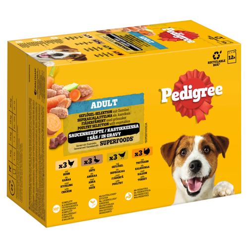96 x 100 g Pedigree sachets fraîcheur Multipack sélection mixte en gelée (4 variétés) Nourriture humide pour chien