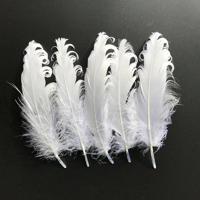 Piume d'oca bianca da 5-7 pollici, piume d'oca, piume economiche, piume da matrimonio, piume per cerchietti, accessori per costumi