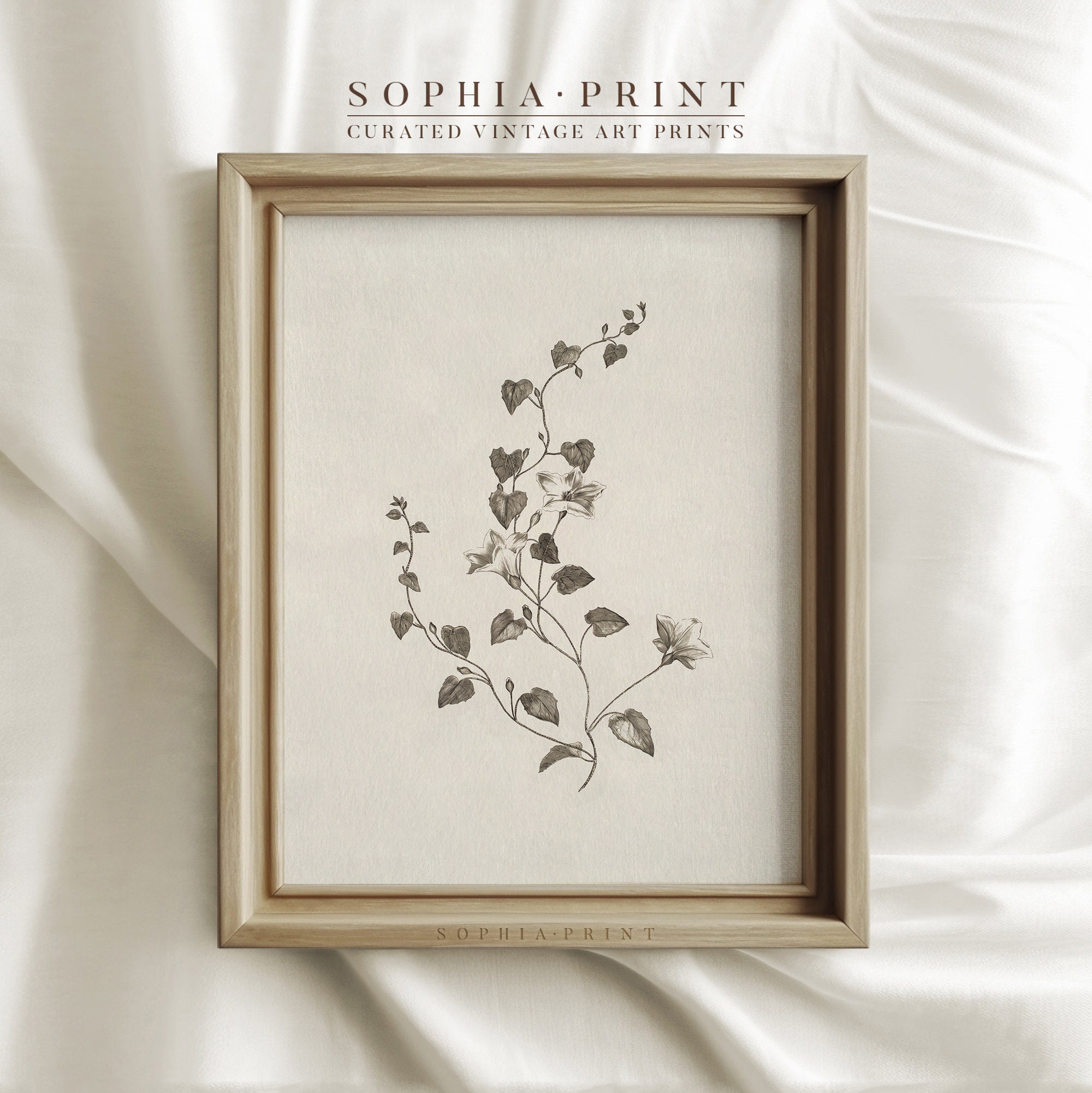 Stampa artistica di cottage, dipinto floreale da parete, stampa artistica di fiori, dipinto di fiori in fiore, stampa artistica botanica da parete n.