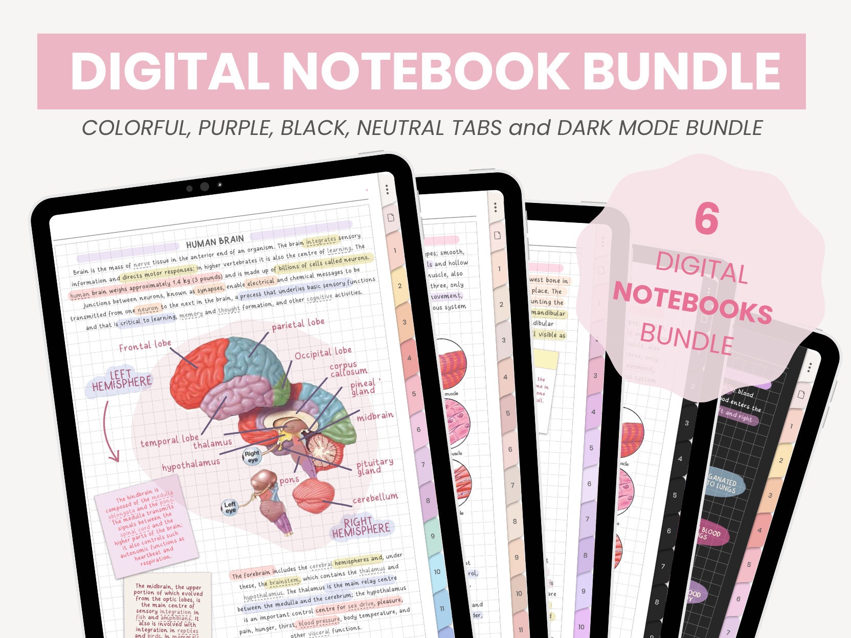 Pacchetto quaderni digitali / Quaderni digitali con ritratto / Quaderno per studenti / Modelli di note digitali Note adesive iPad Goodnotes di MADEtoP