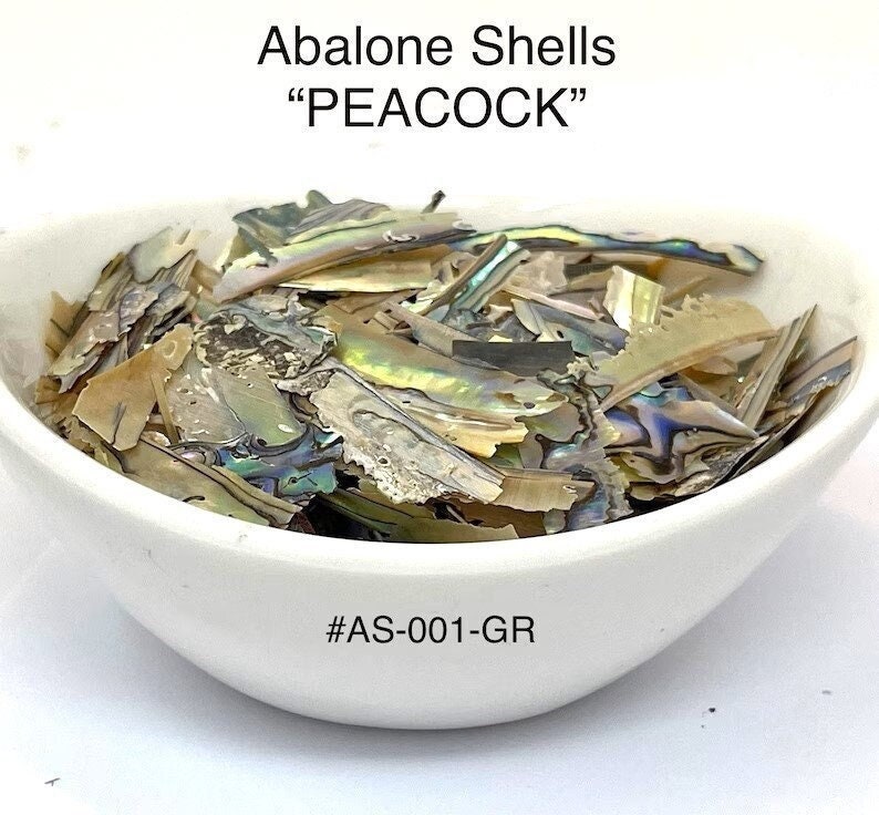 "Pezzi di guscio di abalone \"PAVONE\" da 10 g, 15 g e 25 g (10 g in sacchetto, 15 g/25 g in barattolo) Fette di guscio di abalone ultra sottili da \"Just"