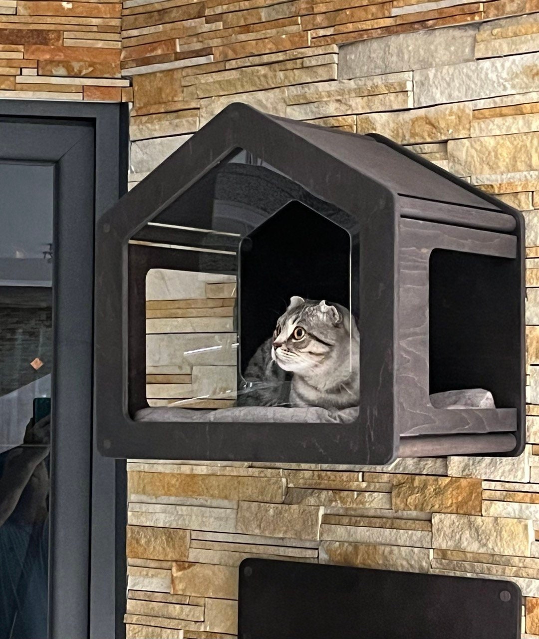 Cuccia moderna per gatti Mobili per gatti in legno Cuccia per gatti da interni per gatti grandi Letto da parete Regali per gatti Scaffali per gatti De