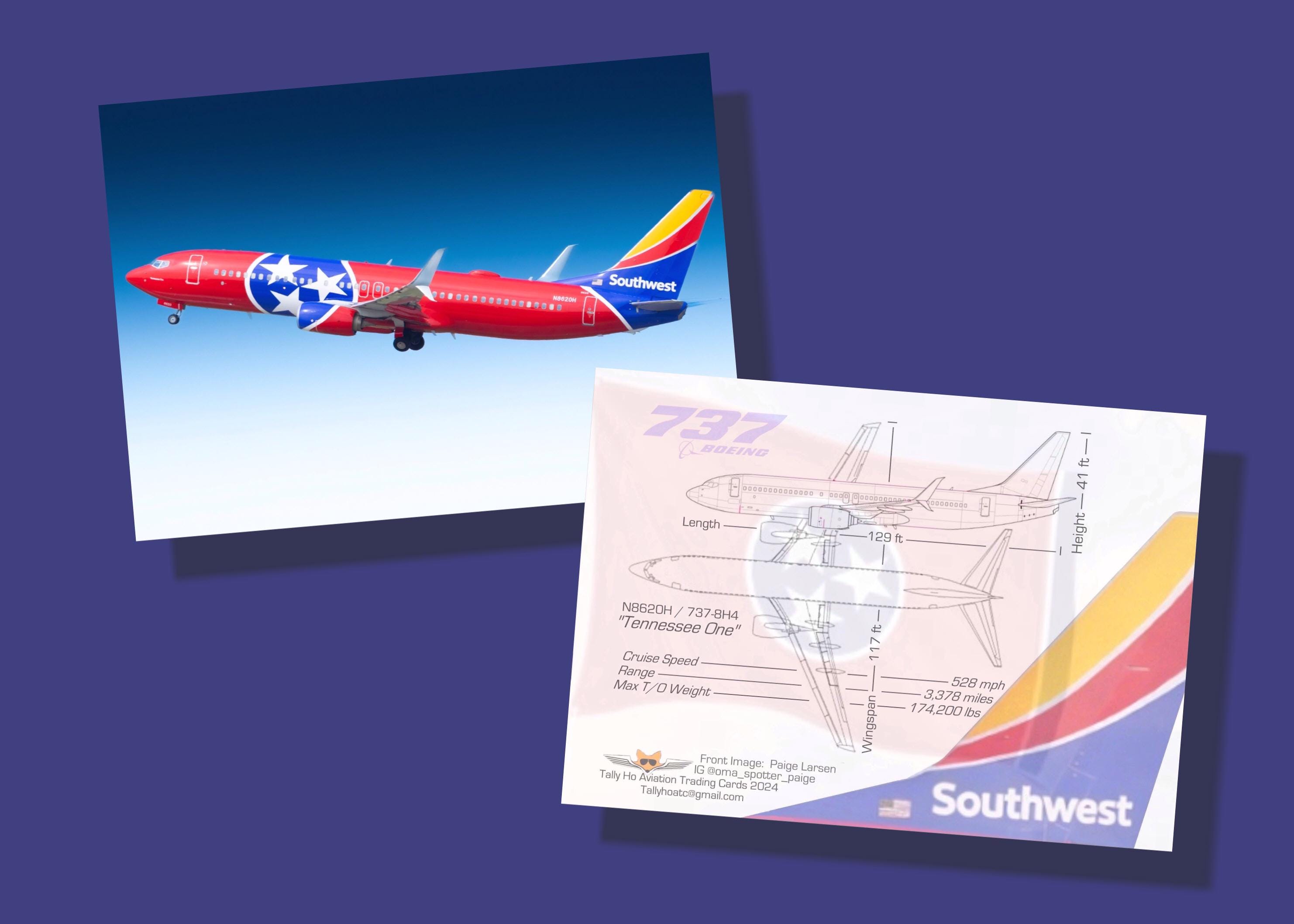 "Set di 25 carte da collezione di aerei Southwest Airlines 737-800 - 2,5\" x 3,5\" - Carta da collezione di aerei - \"Tennessee One\""