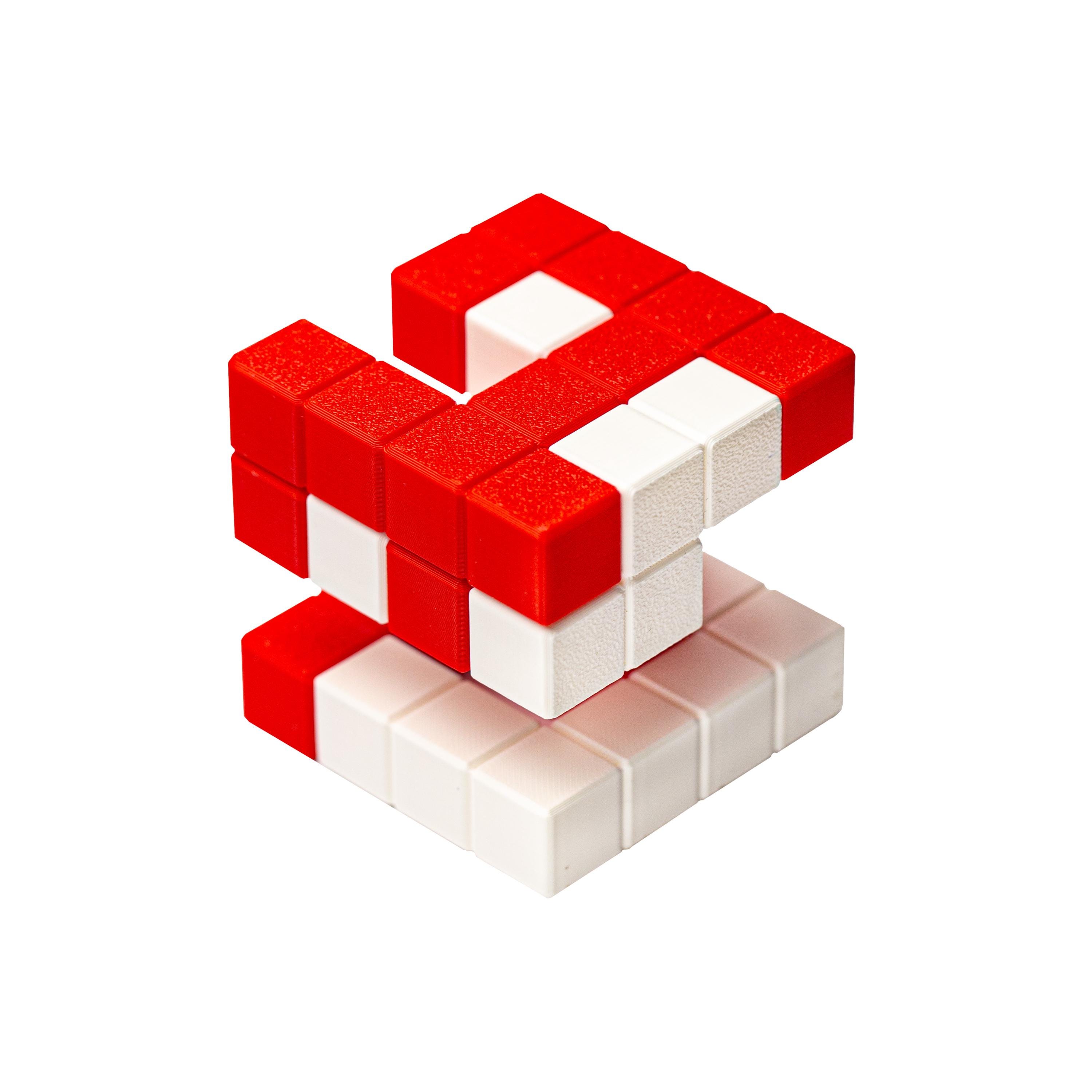 Puzzle logico a 2 pezzi, rompicapo difficile - Puzzle da assemblare stampato in 3D, i migliori giochi e puzzle da viaggio per adulti - Puzzle geometri