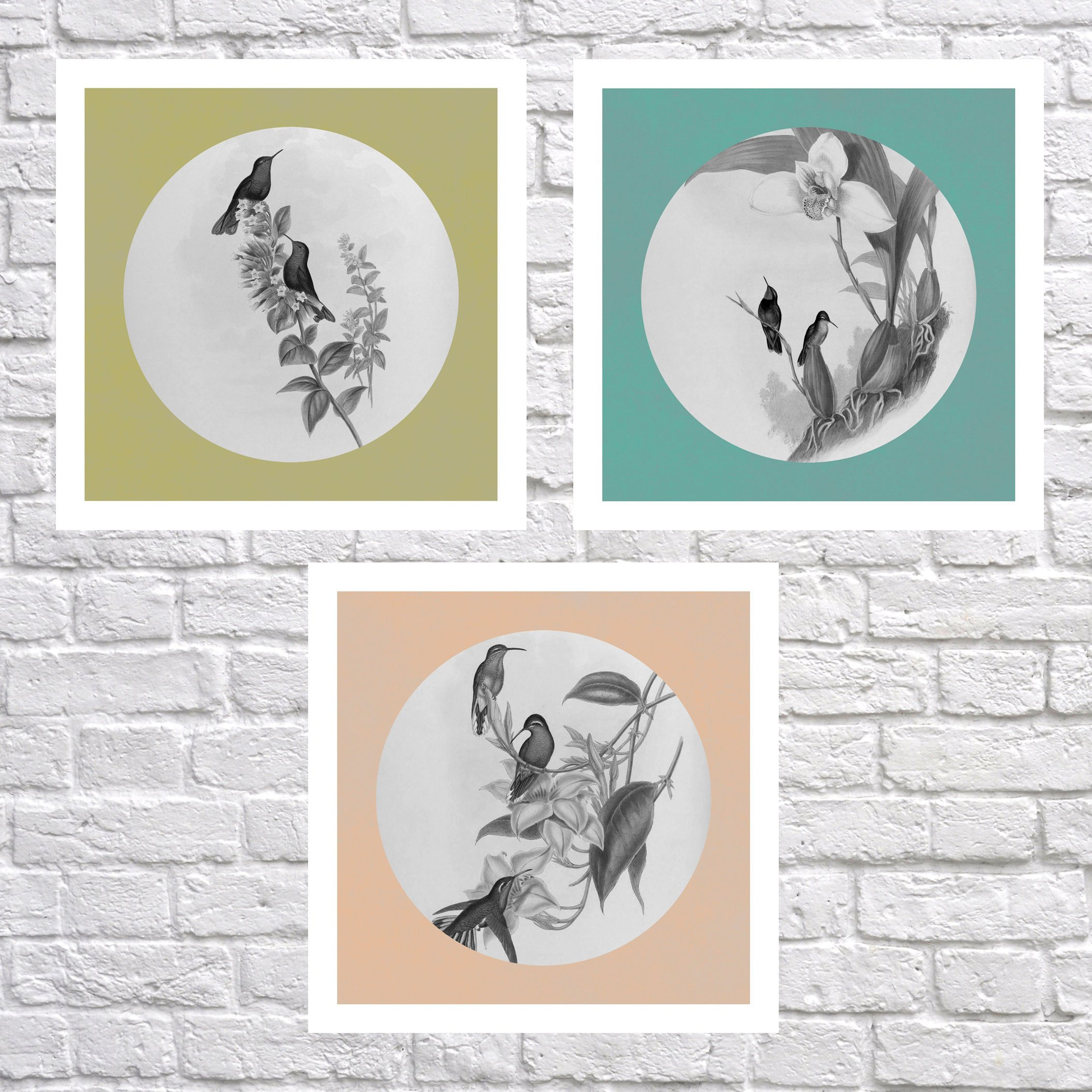Set di 3 stampe, set di 3 stampe da salotto, set di arte murale contemporanea, set di 3 stampe vintage di uccelli per la tua casa, set di stampe antic
