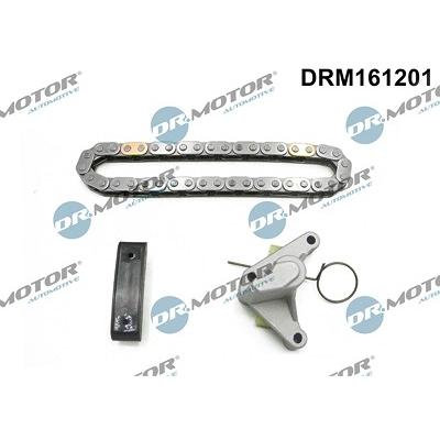 Dr.motor Automotive Steuerkettensatz [Hersteller-Nr. DRM161201] für Citroën, Fiat, Ford, Lancia, Peugeot, Volvo Image