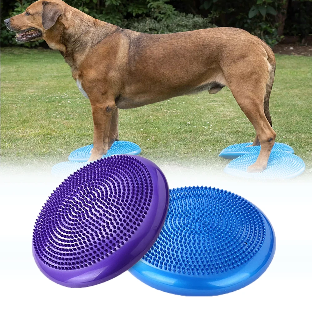 Hund Balance Disc Kissen Rehab Übung Pad Kraft Ausdauer Konditionierung Fitness Für Haustier Rehabilitation Center Agility Zug