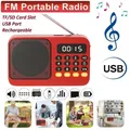 Radio FM portatile con torcia radio ricaricabile scheda TF/disco U Bluetooth 5.0 lettore musicale MP3 altoparlante wireless