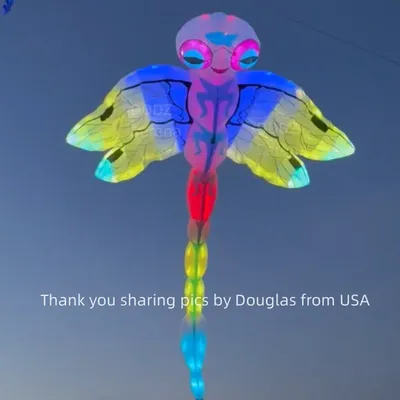 DDDZ 9M LED Dragonfly Soft Inflatable night Kite Line Laundry 20D mix with 40D ripstop nylon with remote control for adult
