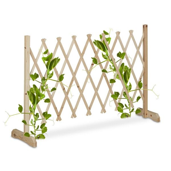 relaxdays Ausziehbares Rankgitter aus Holz bis 180 cm natur braun Image