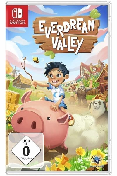 Everdream Valley (Nintendo Switch) - Flashpoint