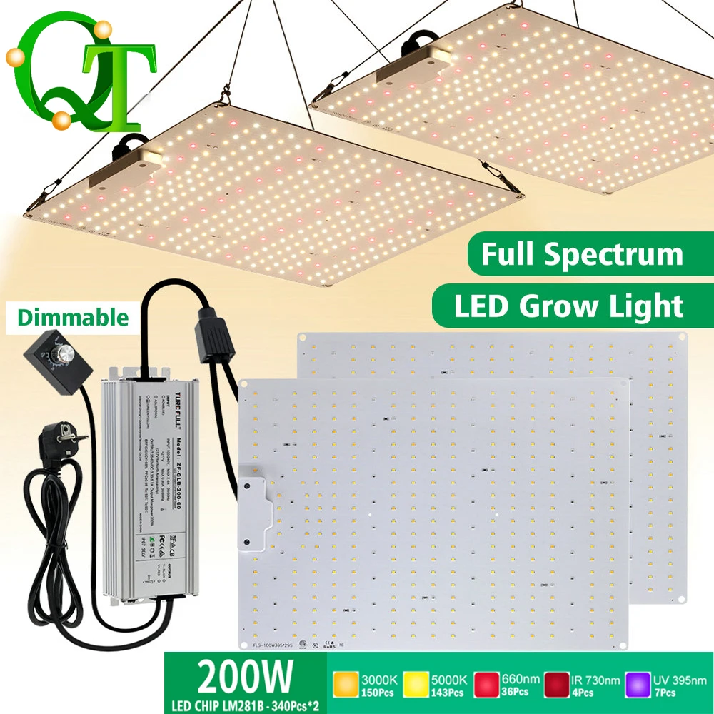 LED-Vollspektrum-Wachstumslicht 100 W/200 W LM281B Dimmbare Pflanzenlampe für Gewächshaus, Gemüse, Erdbeere, Sämling, Wachstumsbeleuchtung