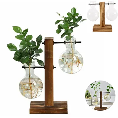 Glass Bulb Vase Desktop Hydroponic Plant Terrarium Vasevase Wooden Stand Plant Container Home Office Coffee Shop Decor Vases