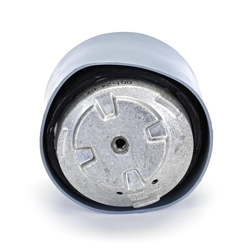 DELPHI Motorlager MERCEDES-BENZ TEM202 171240011798,A1712400117 Lagerung, Motor,Motoraufhängung,Motorhalter,Hydrolager Image