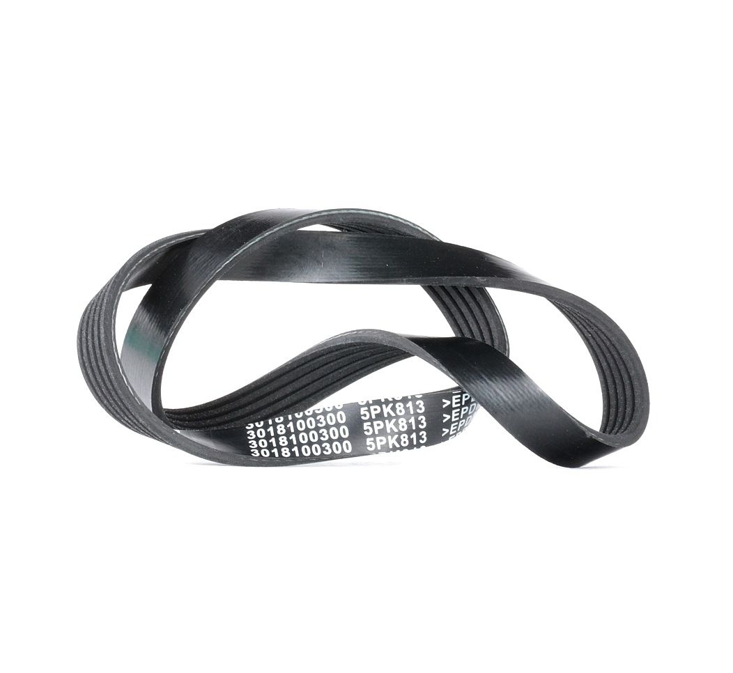 JP GROUP Keilrippenriemen BMW,CITROËN,LAND ROVER 3018100300 96155378,117204S100,5750C7 Rippenriemen 5750TS,9936500800,60566089,11282247425,5750R1 Image