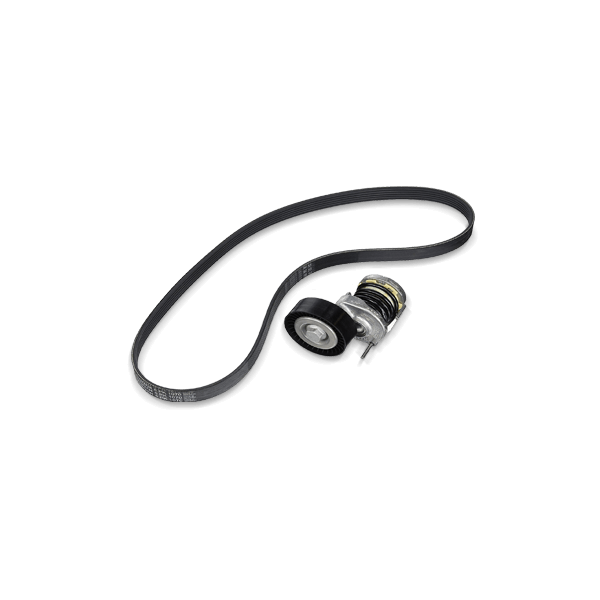 DAYCO Keilrippenriemensatz FIAT,ALFA ROMEO,CHRYSLER KPV256 Image