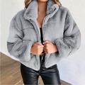 Per donna Cappotto Invernale Cappotto Teddy Cappotto in Pelliccia Sintetica Caldo Confortevole Cerniera All'aperto Casual Semplice Streetwear Ferie Uscire Weekend Cerniera Corto Collo ripiegato